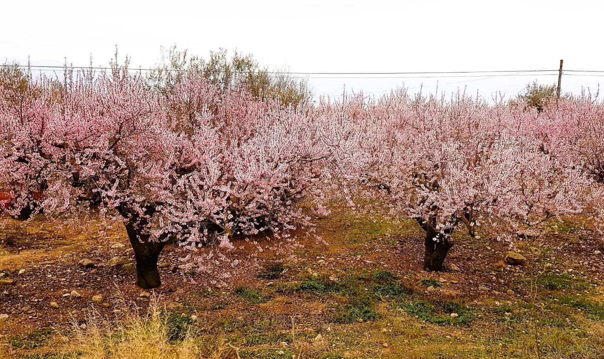 Periana Casa Shyshka Country Cottage מראה חיצוני תמונה
