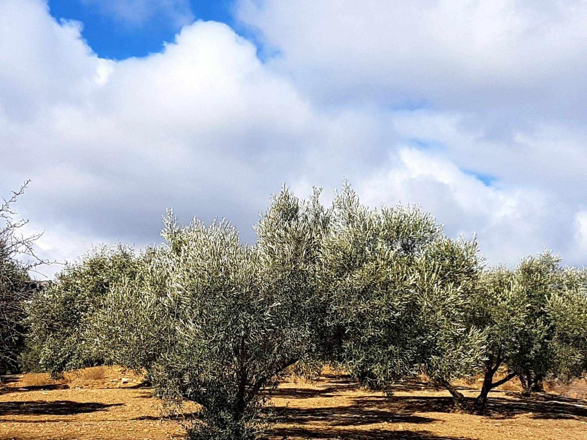 Periana Casa Shyshka Country Cottage מראה חיצוני תמונה